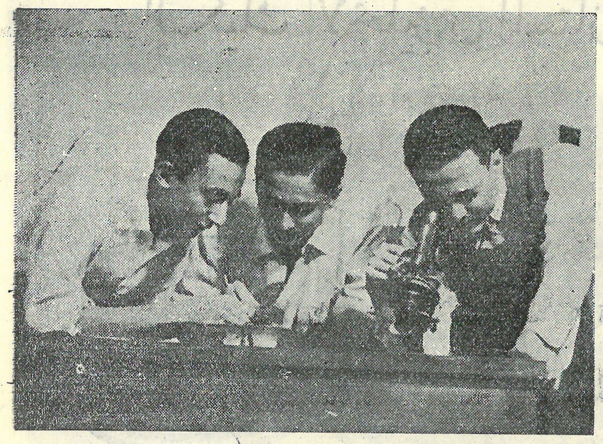 Students of the Faculty of Medicine -1954