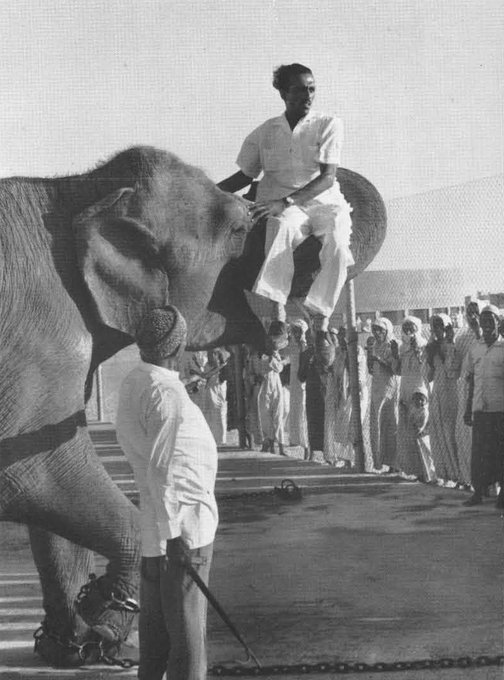 A Photo of the zoo in Riyadh in 1961 for one of the four elephants given by Nehru, Prime Minister of India to King Saud, may God have mercy on him.