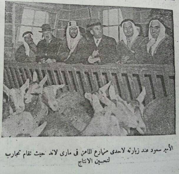 Prince Saud Vists the U.S. in 1947. Inspecting a cowhorse while visiting Texas.