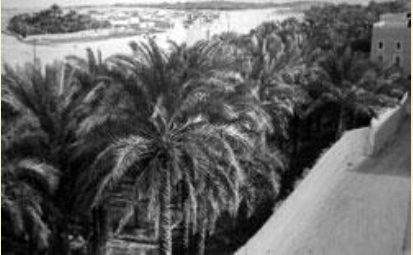 King Saud’s Palace in Al‑Badiah, Outside of Riyadh - The King Saud Library