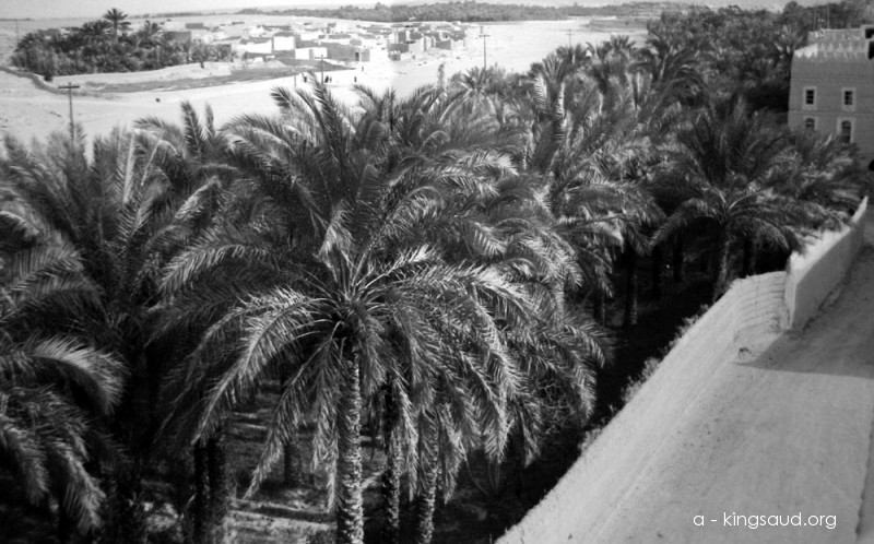 King Saud’s Palace in Al‑Badiah, Outside of Riyadh - The King Saud Library