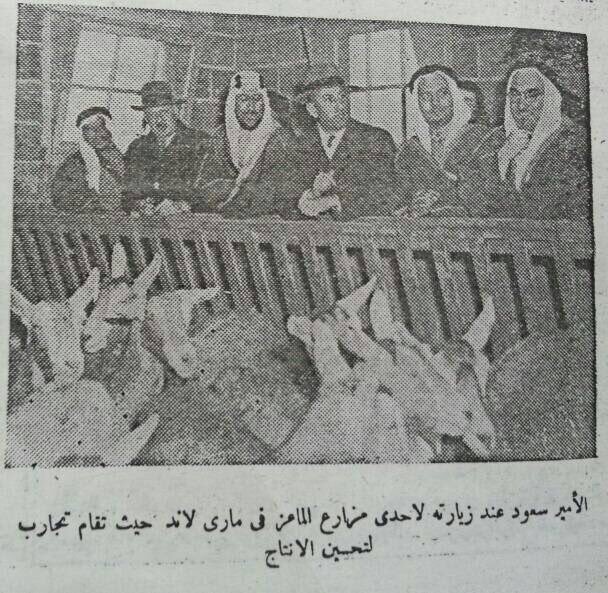 Prince Saud Vists the US in 1947 Inspecting a cowhorse while visiting Texas