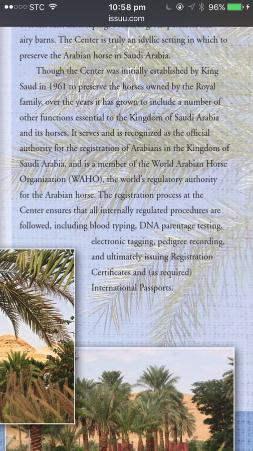 Dirab Center was established by King Saud to conserve and breed the Arabian horses