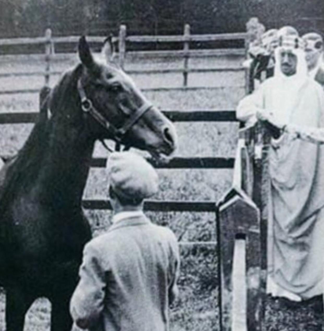 Crown Prince Saud King_Saud during his visit to Britain to attend the Coronation of King George the sixth in 1937 he was invited by Lady Judith WentWorth to visit Crabbet Arabian Stud which was started by her late mother Lady Ann Blunt to breed Arabian horses